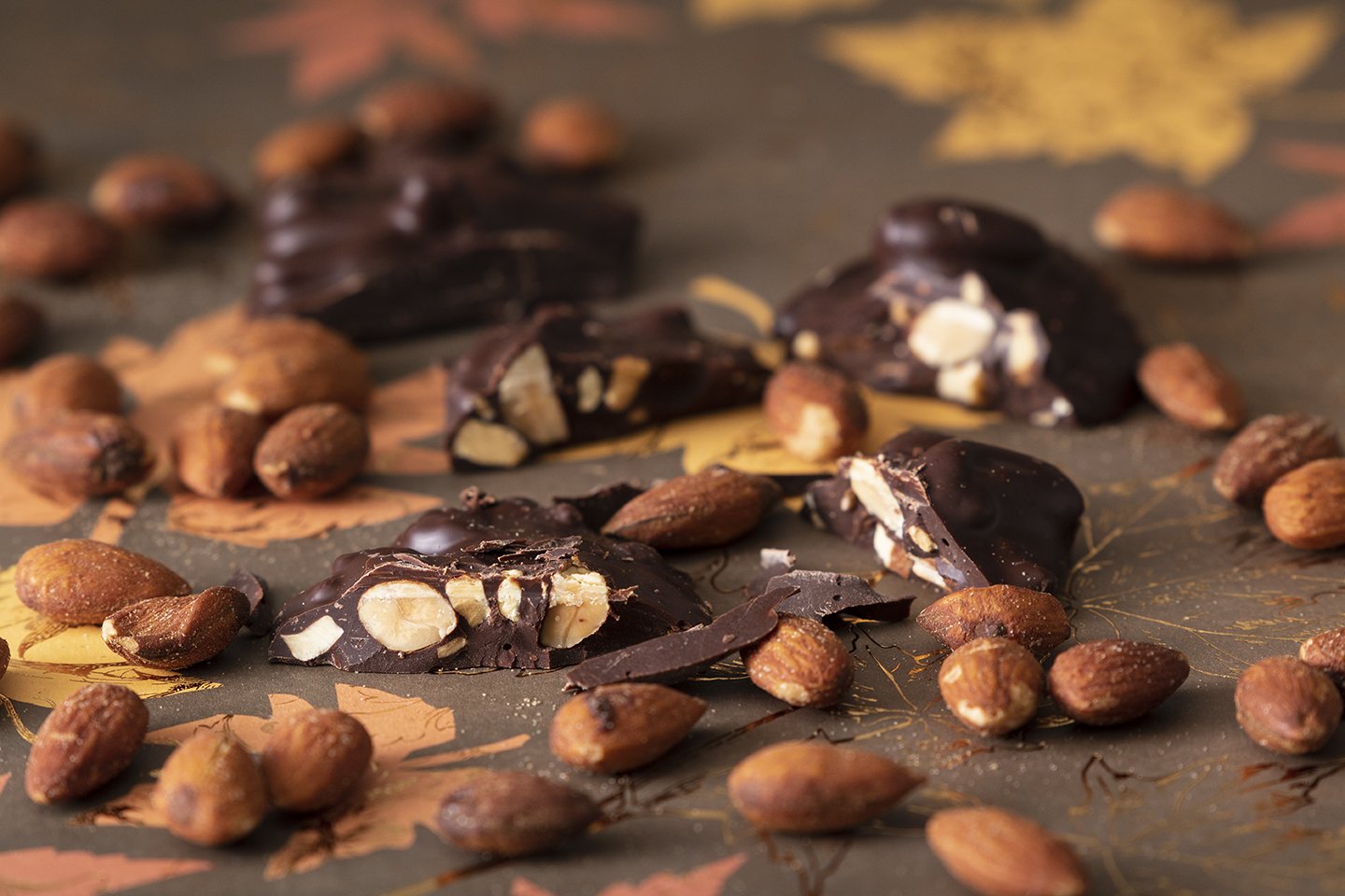 SUGAR-FREE Squirrel Box Nut Clusters — Divine Treasures Chocolates